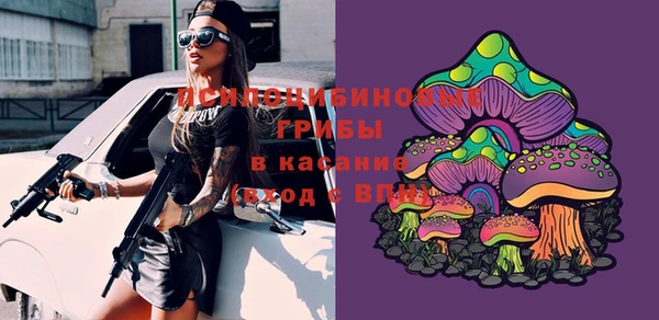 ГАЛЛЮЦИНОГЕННЫЕ ГРИБЫ Киренск