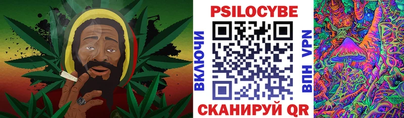 цены наркотик  Кяхта  hydra зеркало  Галлюциногенные грибы Magic Shrooms 